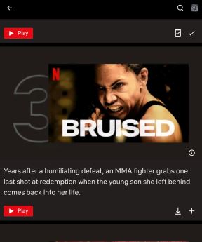 Screenshot_20211128-140027_Netflix.png