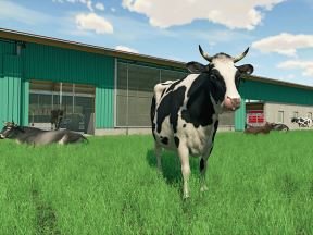 Farming.jpg