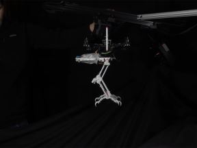 Robot ptica