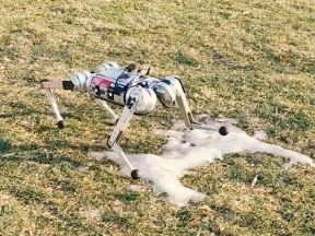 Cheetah robot