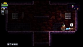 Rogue Legacy (4).jpg
