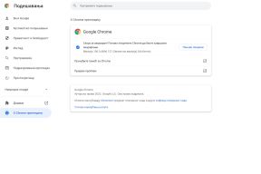 Kako ažurirati Chrome 2.jpg