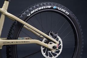 bash-michelin-tire.jpg