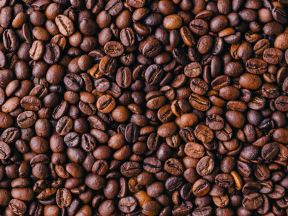 Kako trgovati cenom akcija Starbucks