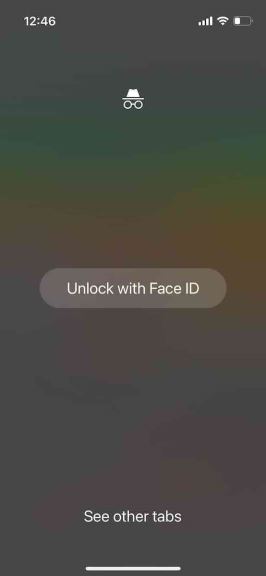 Chrome Incognito 1.jpeg