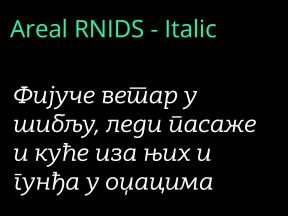 ArealRNIDS - Italic.jpg