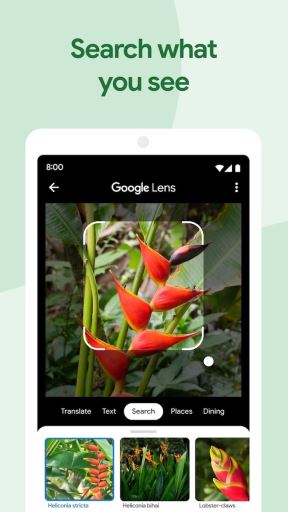 Google Photos 2.jpeg
