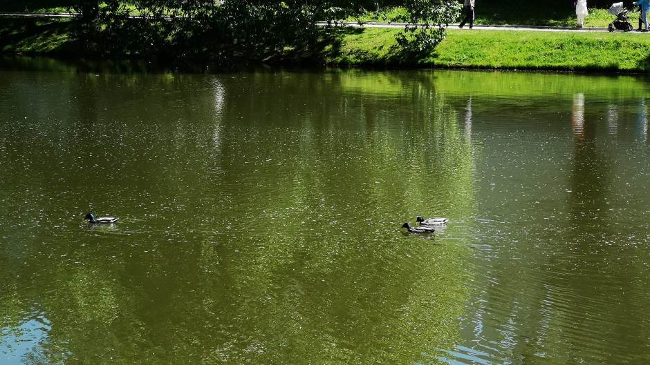 Rusija blokirala Instagram, slede Fejsbuk i Tviter