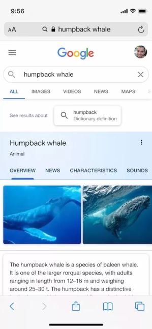 Menja se Google Search 
