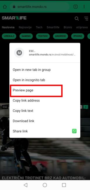 chrome preview page rikrol prevara