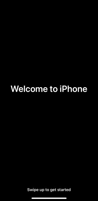 IMG_2633.PNG