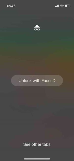 Chrome Incognito 1.jpeg