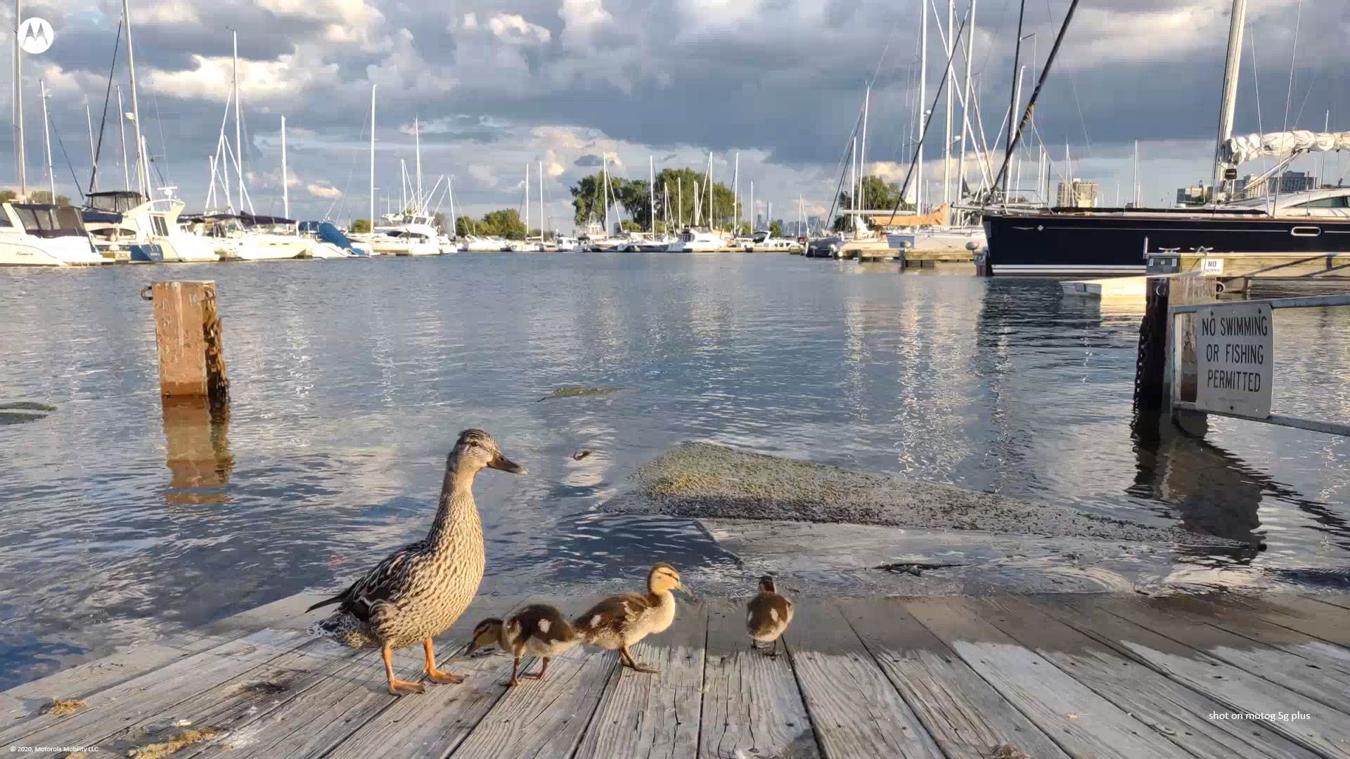 Motorola Moto G 5G Plus cena u Srbiji, prodaja, Utisci i slike Motorola Moto G 5G Plus telefon