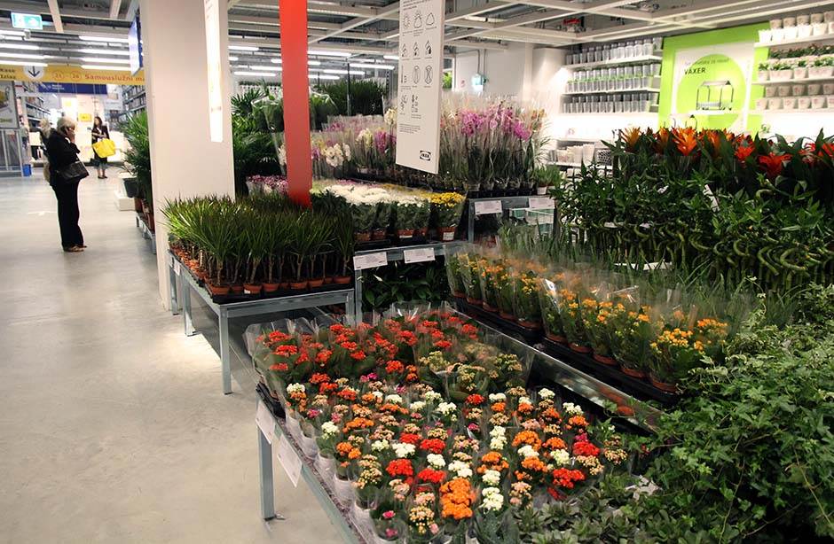 IKEA katalog digitalno izdanje 2021. godina, IKEA katalog postaje digitalan kako izgleda foto