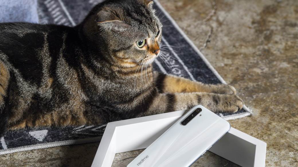 purina accelerator unleashed startap 50000 chf franaka  kucni ljubimci unapredenje života