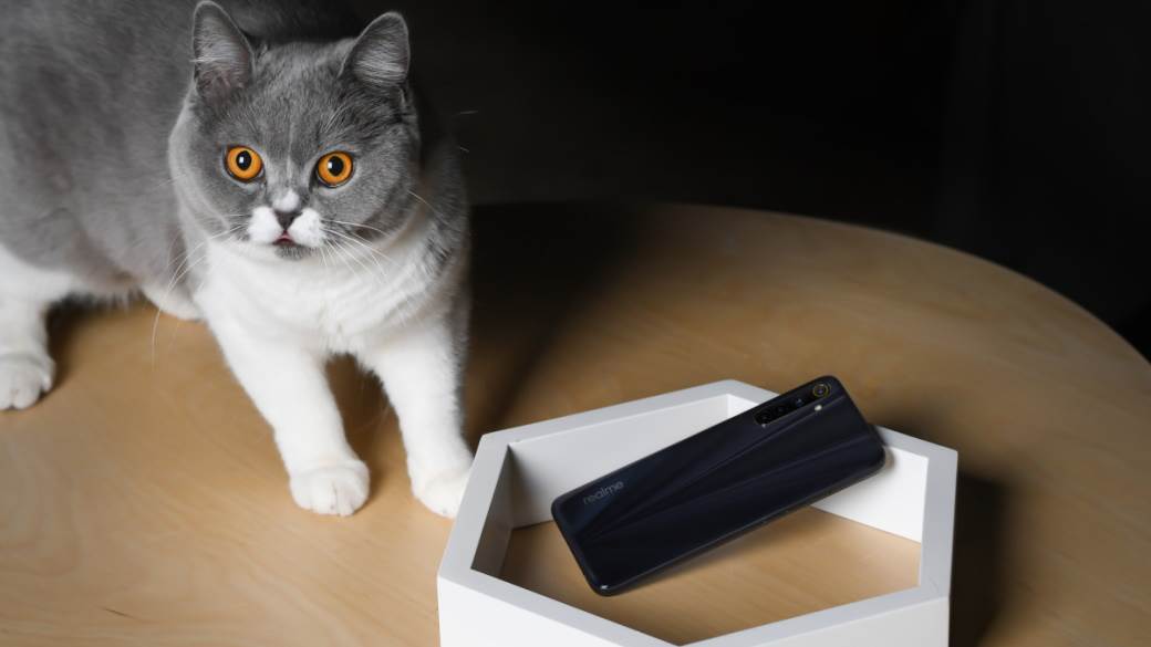 purina accelerator unleashed startap 50000 chf franaka  kucni ljubimci unapredenje života