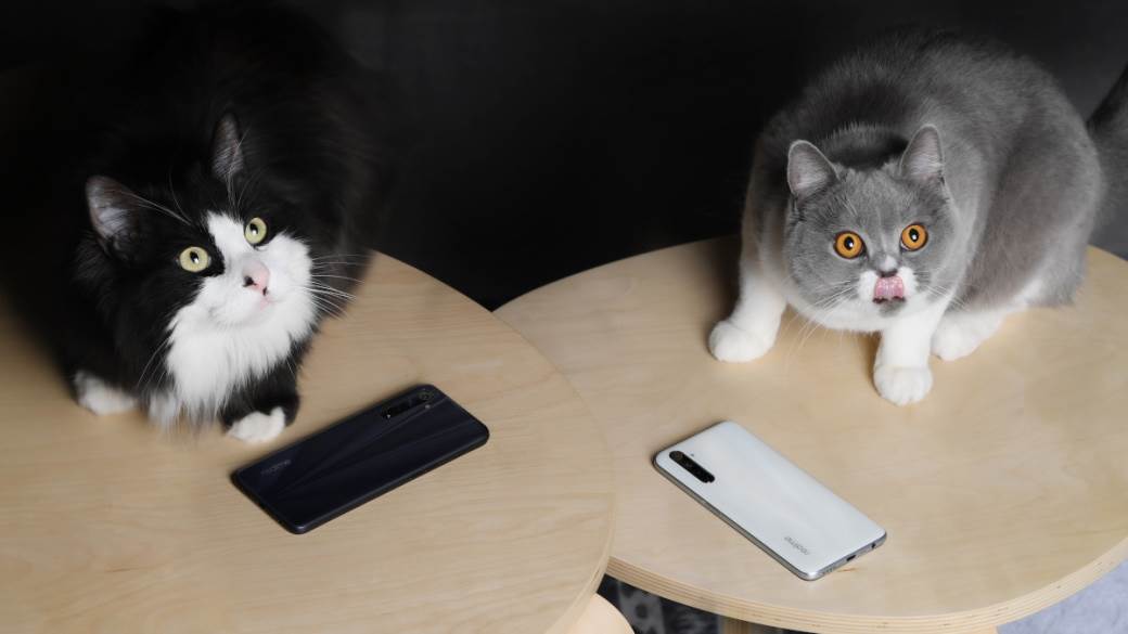 purina accelerator unleashed startap 50000 chf franaka  kucni ljubimci unapredenje života