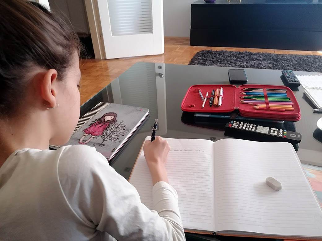 elektronski upis prvaka preko interneta eupis euprava aplikacija zakazivanje termina testiranja