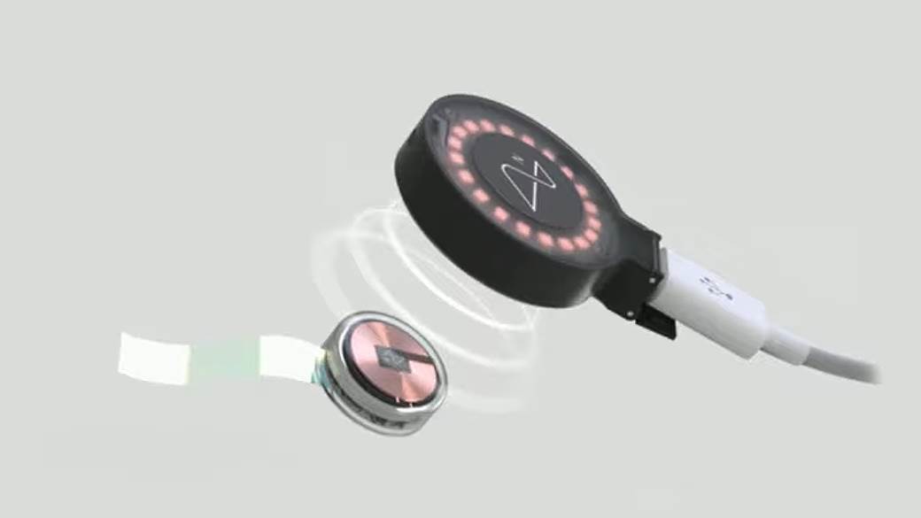 Cipovanje mozga Ilon Mask Elon Musk svinje 