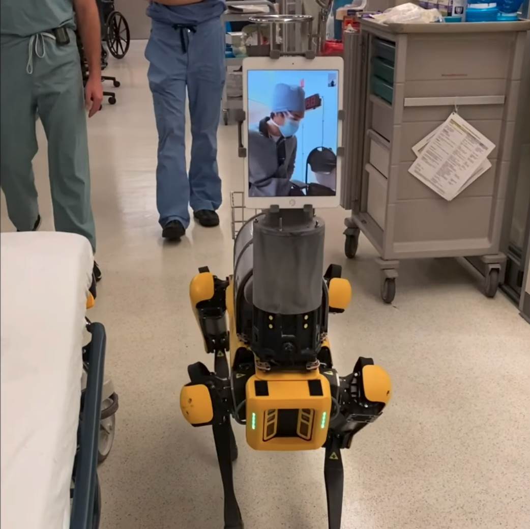 Pas Robot pandemija koronavirus nanjuši tehnologija