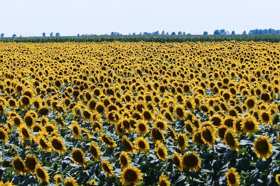 nVidia pravi superracunar simulator planete Zemlje superkompjuter prirodne katastrofe