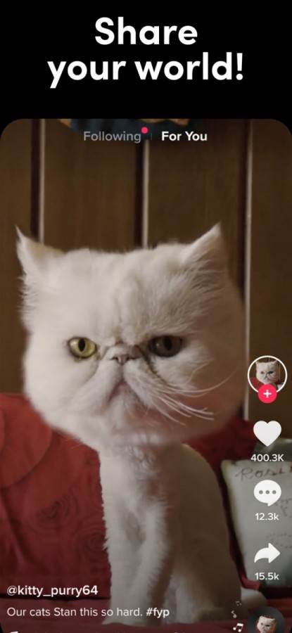 TikTok Music platforma za striming muzike