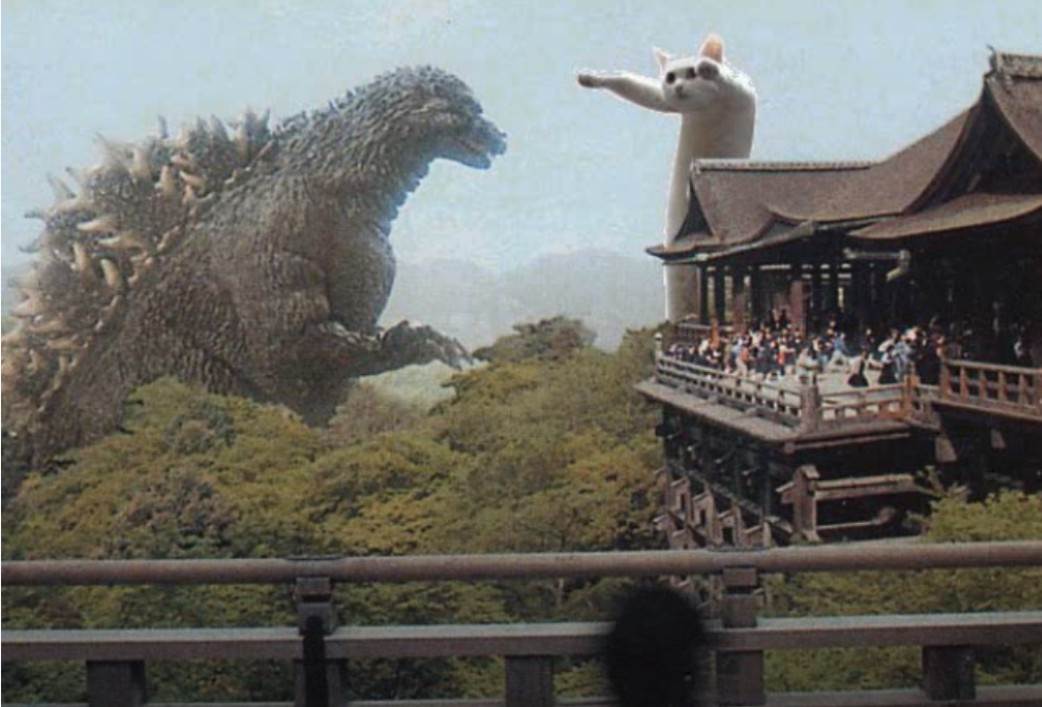 Preminula internet senzacija u 18. godini internet najbolji mimovi macka 