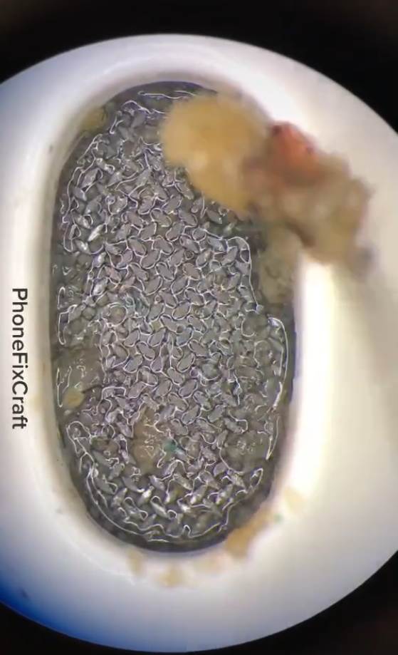 cišcenje telefona kako se pravilno cisti mobilni potapanje telefona u vodu koronavirus smartfon