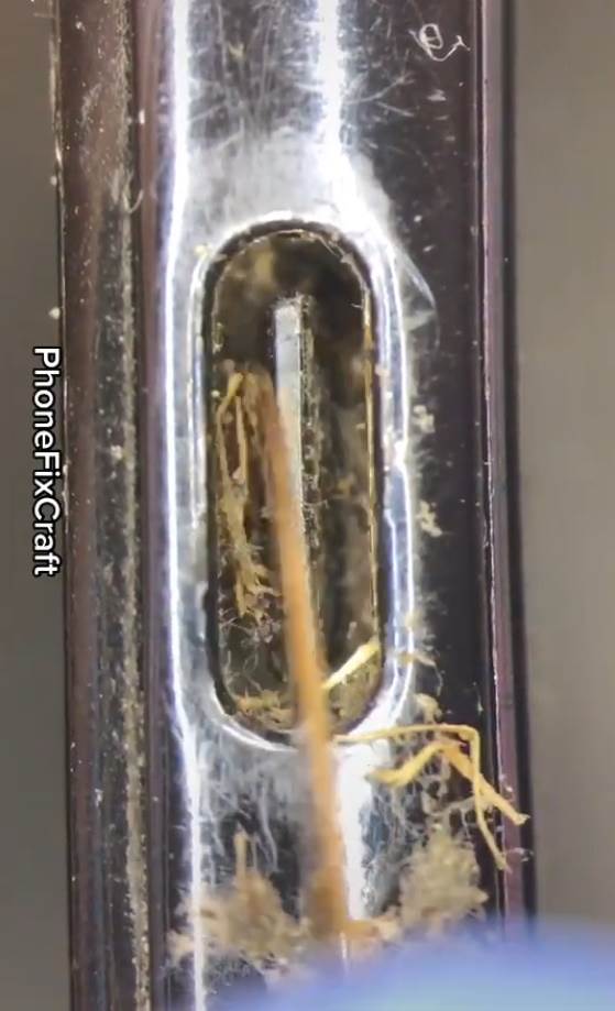 cišcenje telefona kako se pravilno cisti mobilni potapanje telefona u vodu koronavirus smartfon