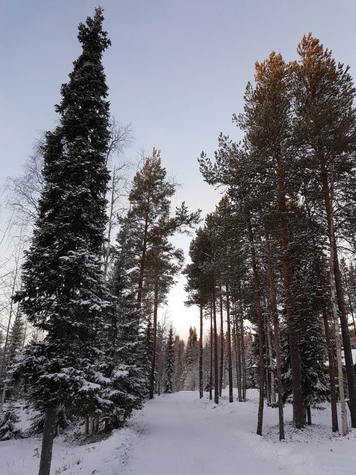 Samsung Galaxy S6 kako je promenio smartfon industriju