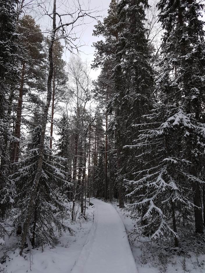 Samsung Galaxy S6 kako je promenio smartfon industriju