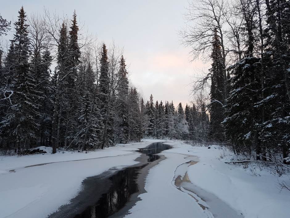 Samsung Galaxy S6 kako je promenio smartfon industriju