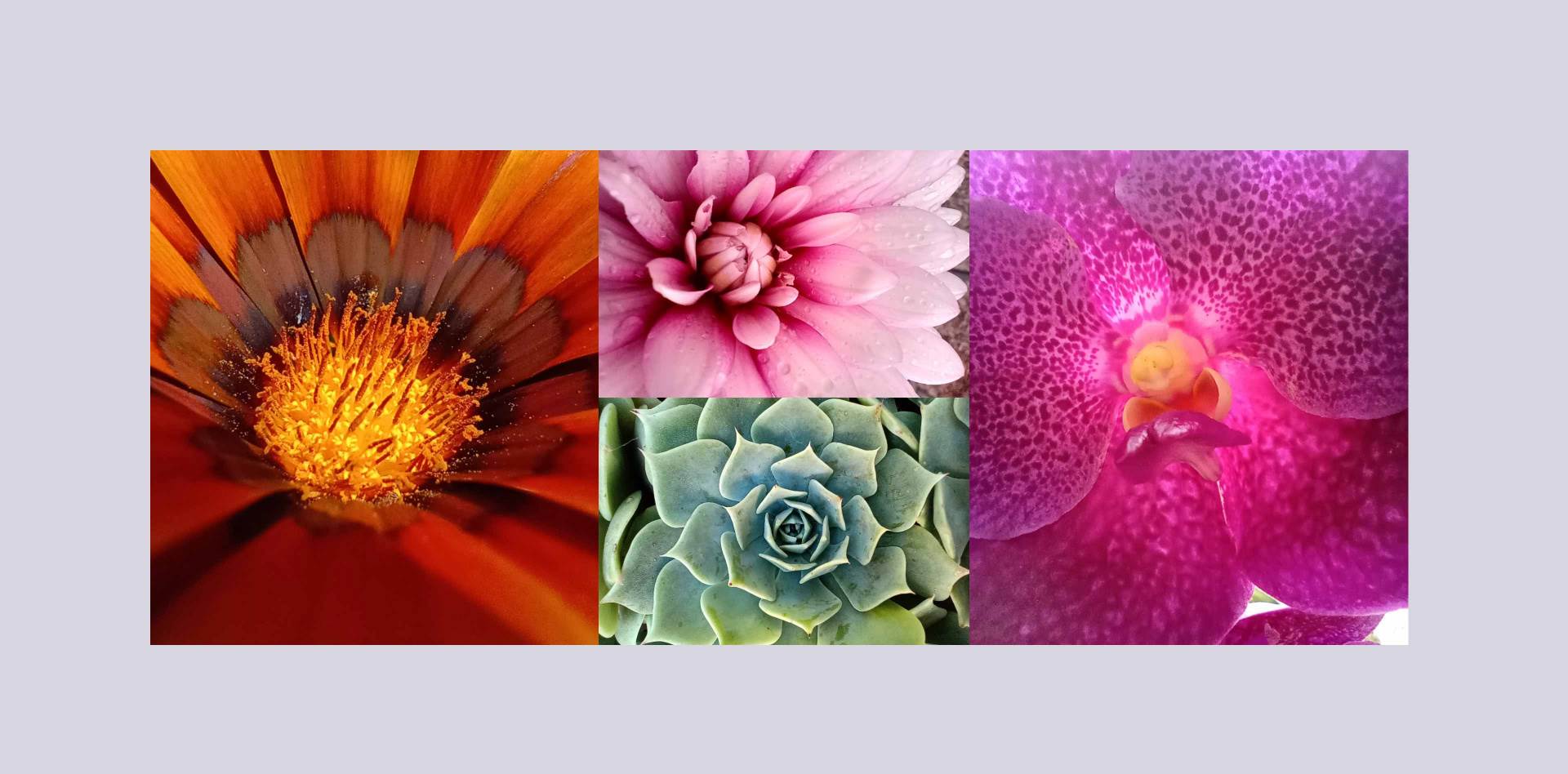 Motorola One Macro cena u Srbiji, prodaja, kupovina, Motorola One Macro test kamere, utisci, info