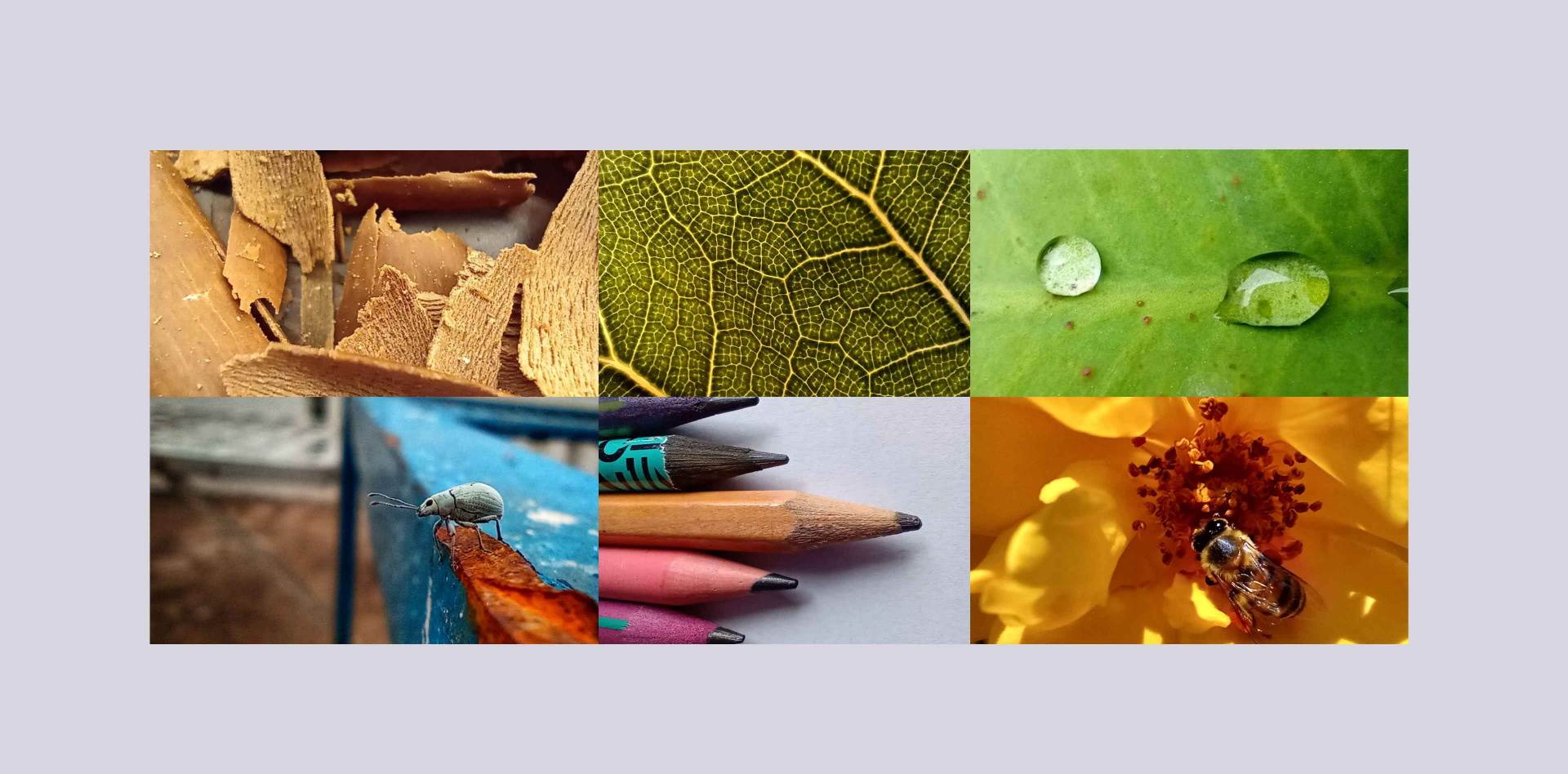 Motorola One Macro cena u Srbiji, prodaja, kupovina, Motorola One Macro test kamere, utisci, info