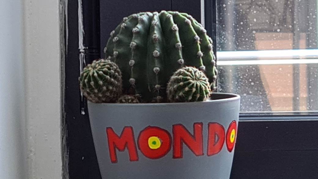 Samsung Galaxy S20 Ultra kamera kakva je, Samsung Galaxy S20 Ultra kamera slike, video, kvalitet