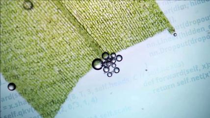 Fotosinteza pod mikroskopom i AI kod kao ilustracija