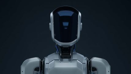 Humanoidni robot