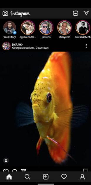 Instagram Dark Mode, Instagram Dark Mode kako aktivirati, Instagram BETA Dark Mode