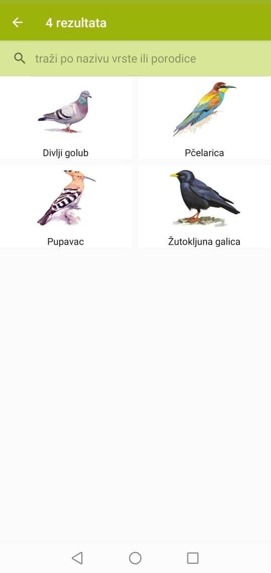 aplikacija ptice na dlanu koje ptice se nalaze u Srbiji