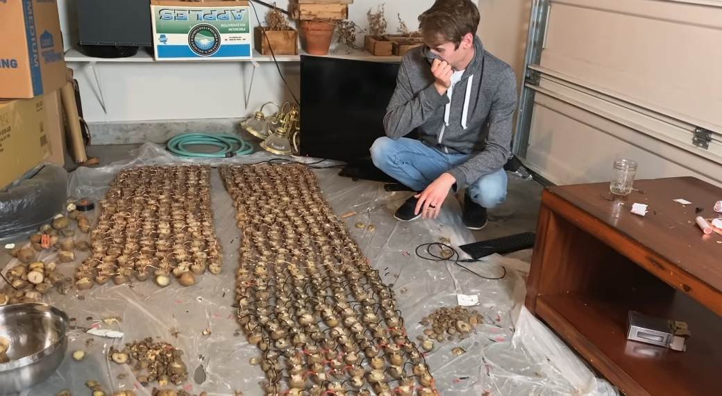 Doom na krompiru Video igra konzole test za trudnocu