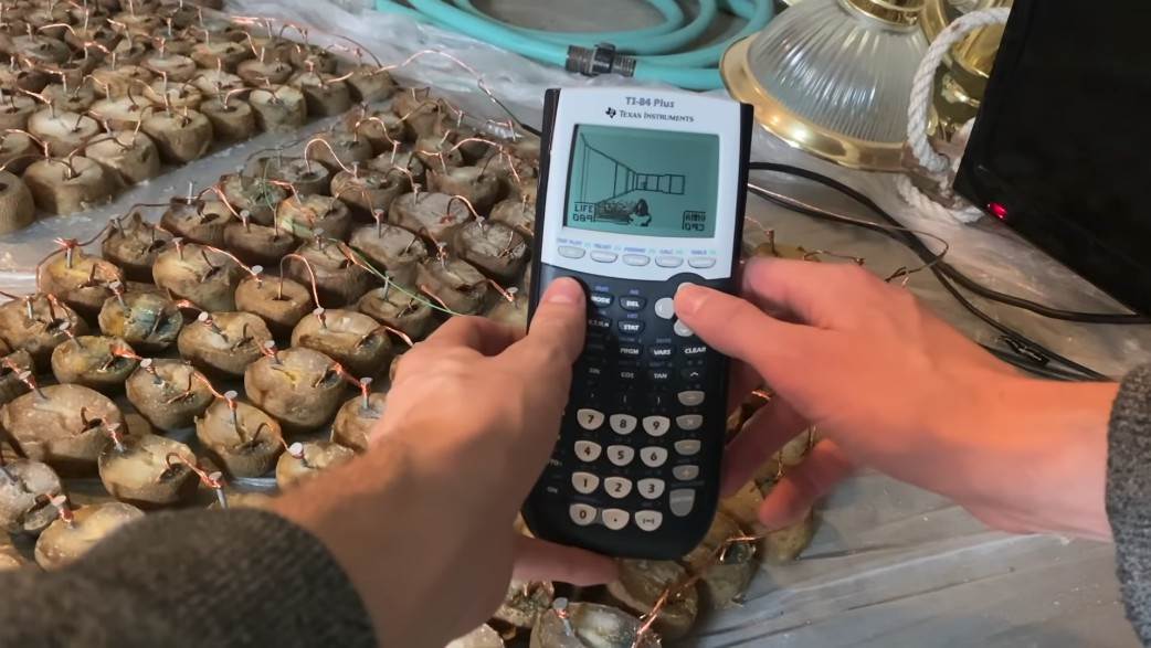 Doom na krompiru Video igra konzole test za trudnocu