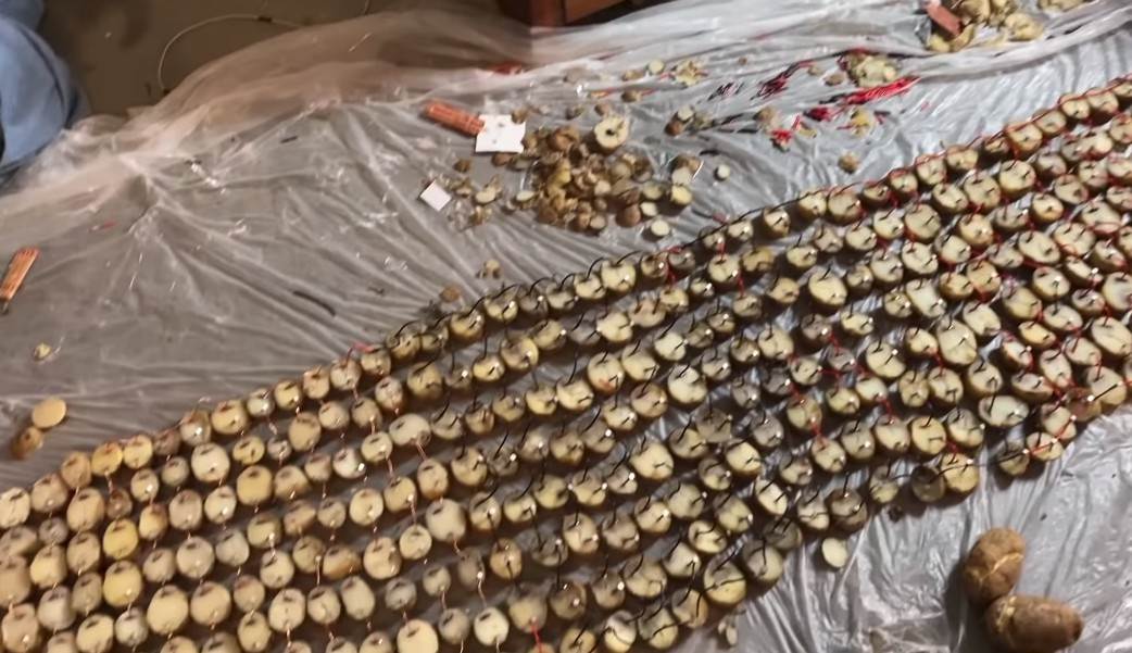 Doom na krompiru Video igra konzole test za trudnocu