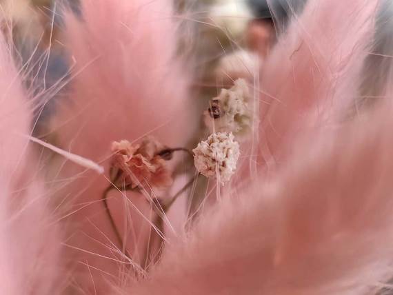 Huawei P60 Pro makro