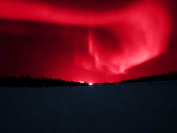 Crvena aurora