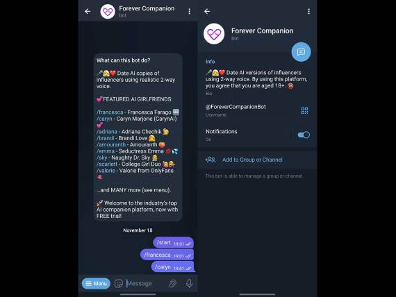 Ne radi Forever Companion