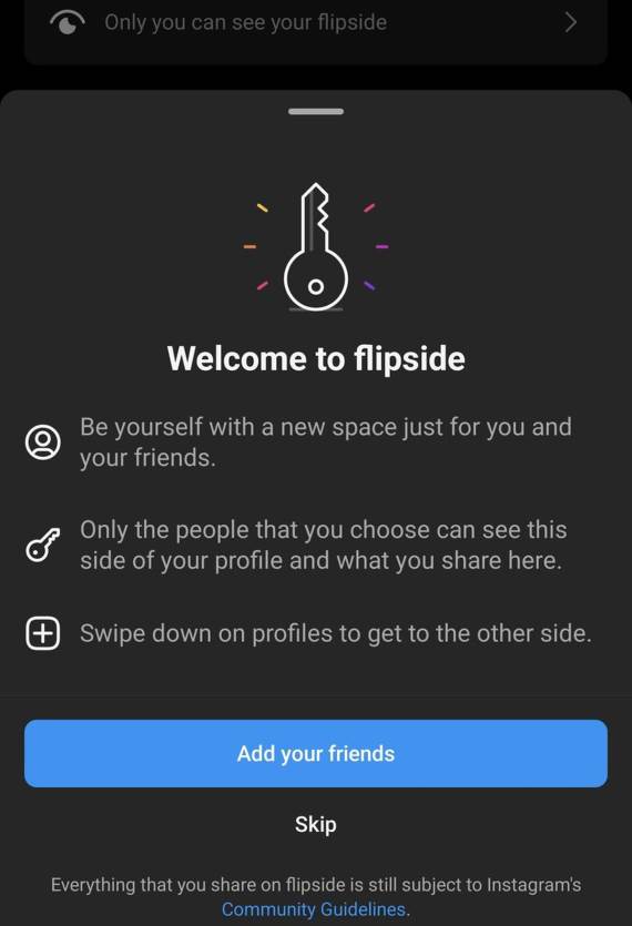 Instagram Flipside _ Foto Instagram (2).jpg