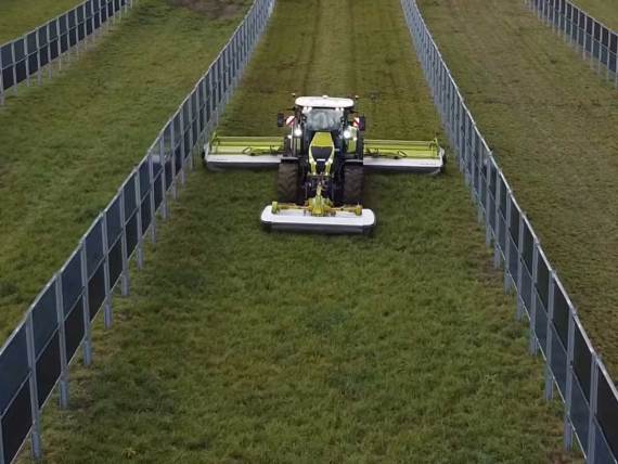 Solarne ograde poljoprivreda