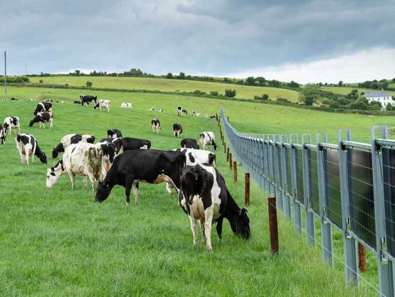 Solarne ograde na imanju