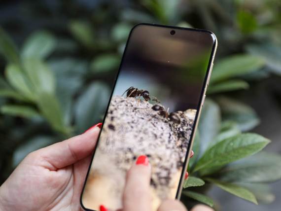 Huawei Pura 70 ekran