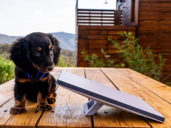 Starlink Mini _ Foto Starlink (3).jpg